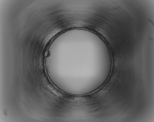 X0000101201026200807111004