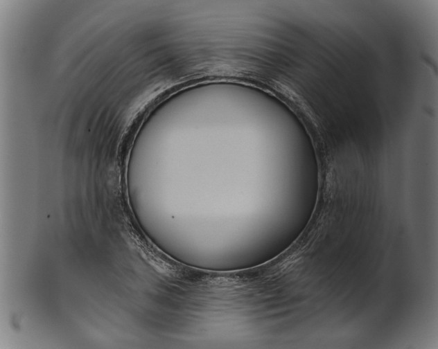X0000101201027200807111004