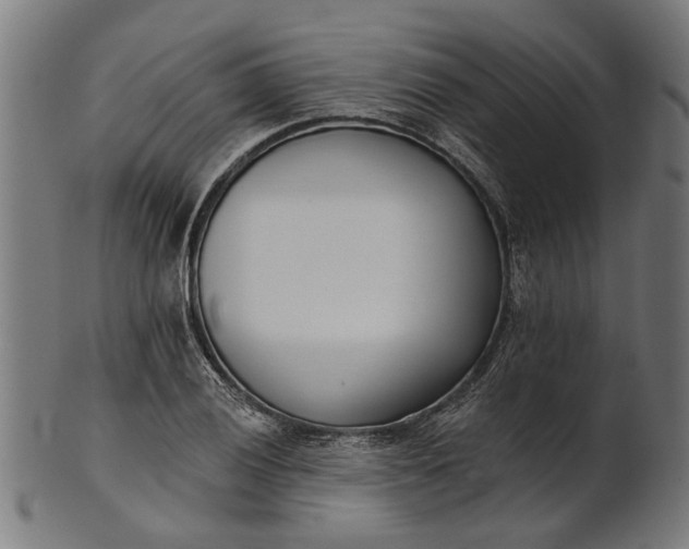 X0000101201028200807111004