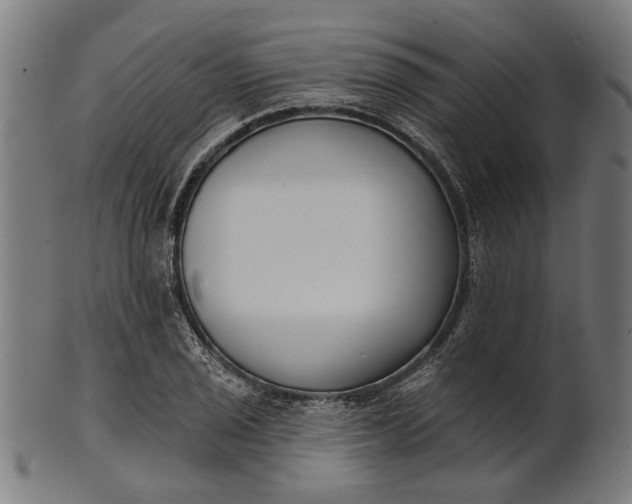 X0000101201029200807111004