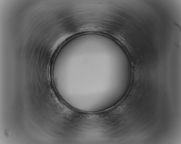 X0000101201030200807111004