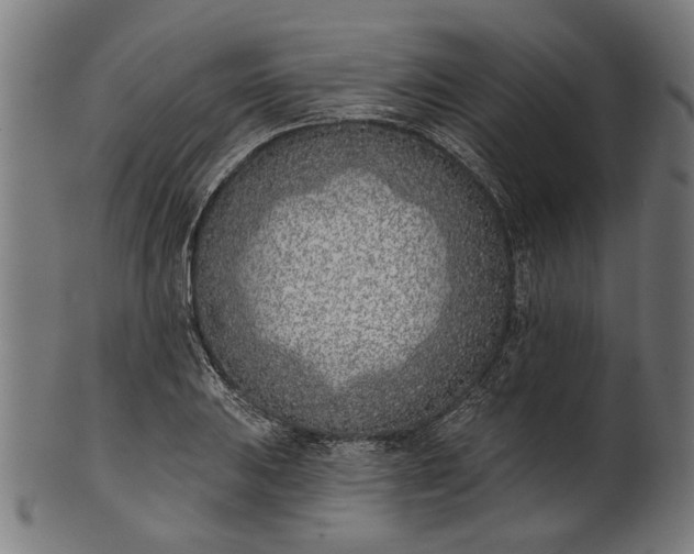 X0000101201031200807111004