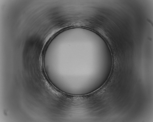 X0000101201032200807111004