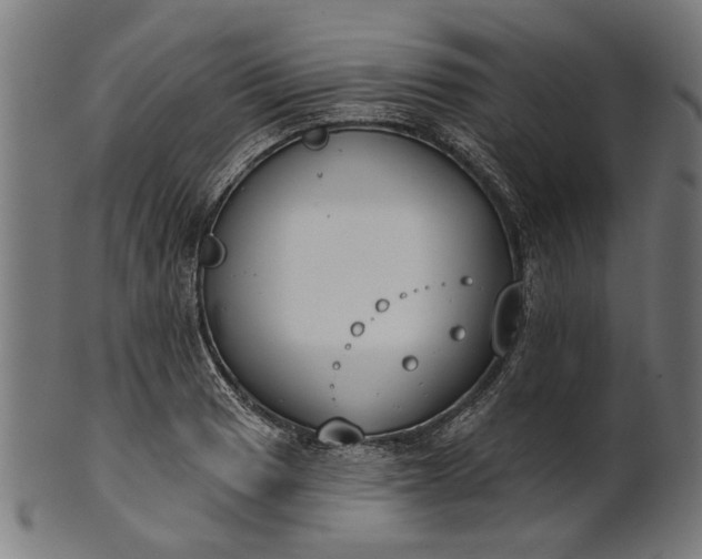 X0000101201033200807111004