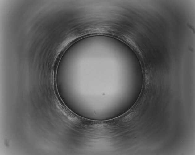 X0000101201035200807111004