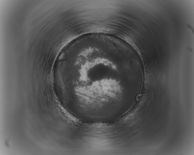 X0000101201037200807111005