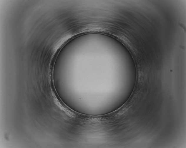 X0000101201038200807111005
