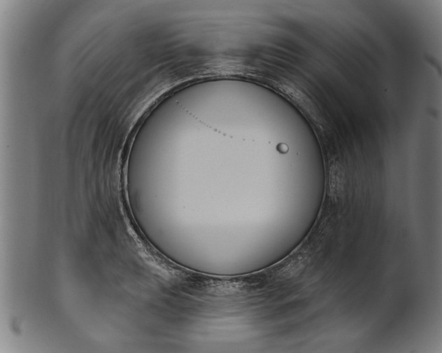 X0000101201039200807111005