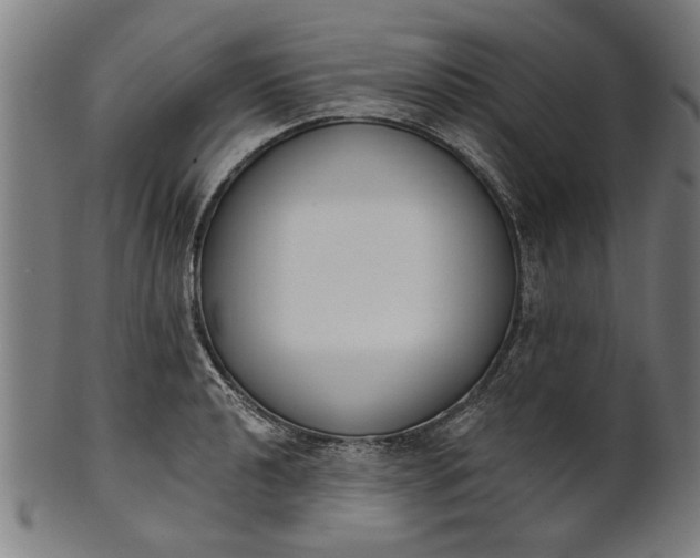 X0000101201040200807111005