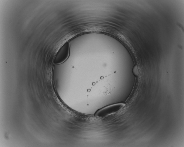 X0000101201041200807111005