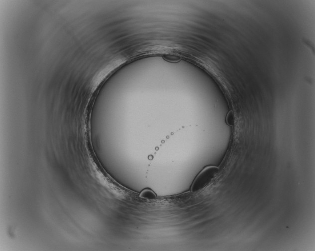 X0000101201042200807111005
