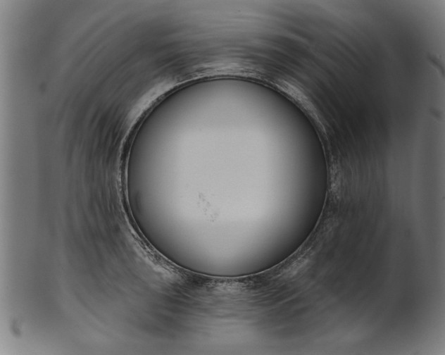 X0000101201043200807111005