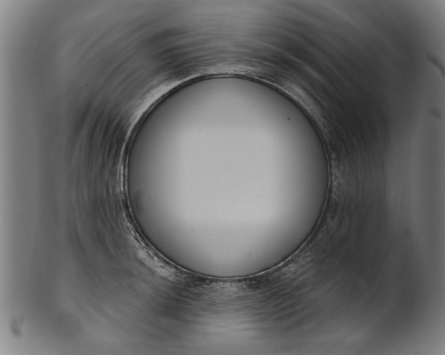 X0000101201044200807111005