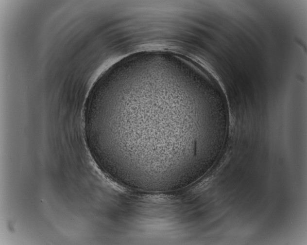 X0000101201045200807111005