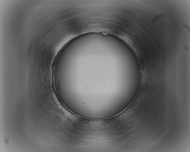 X0000101201046200807111005