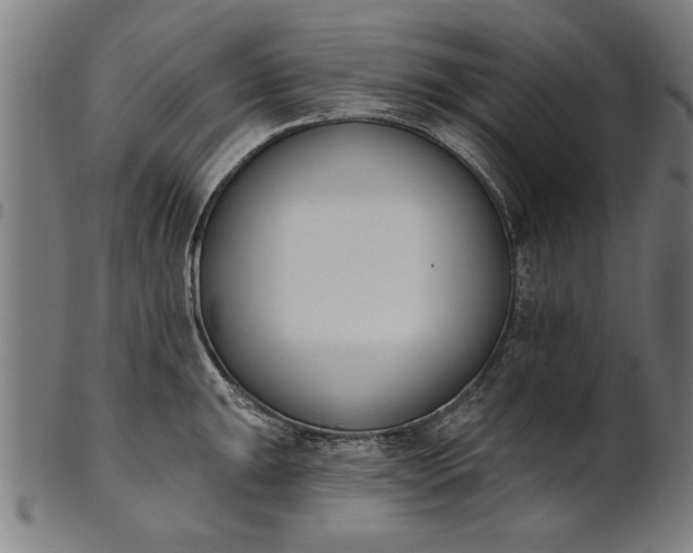X0000101201047200807111005