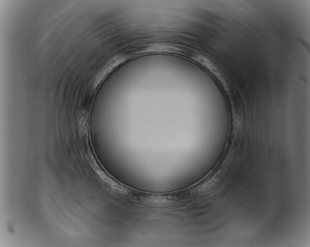 X0000101201049200807111005
