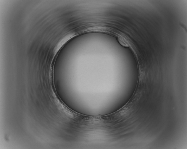 X0000101201050200807111005
