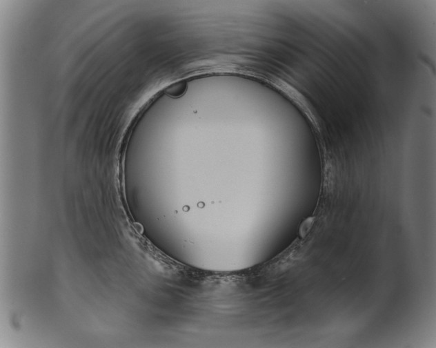 X0000101201051200807111005