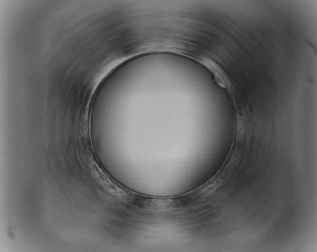 X0000101201052200807111005