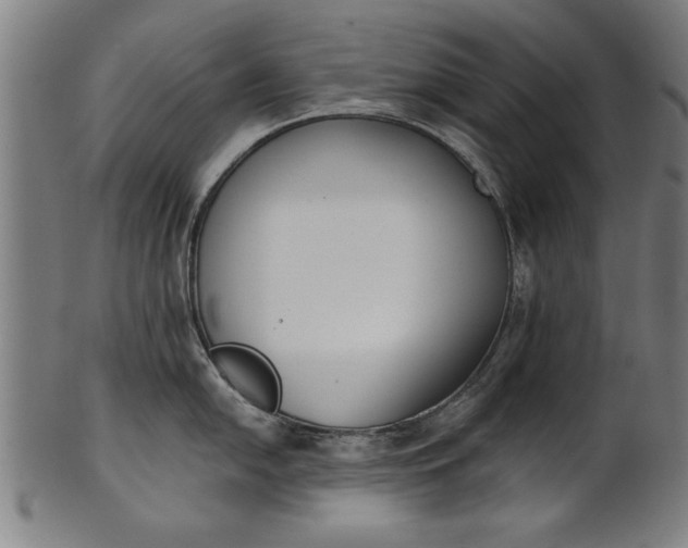X0000101201054200807111005