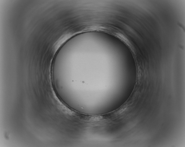 X0000101201055200807111005