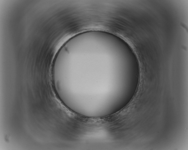 X0000101201056200807111005