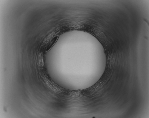 X0000101201058200807111004