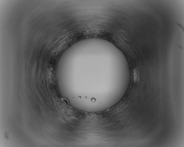 X0000101201059200807111004