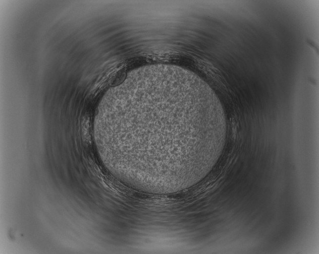 X0000101201060200807111004