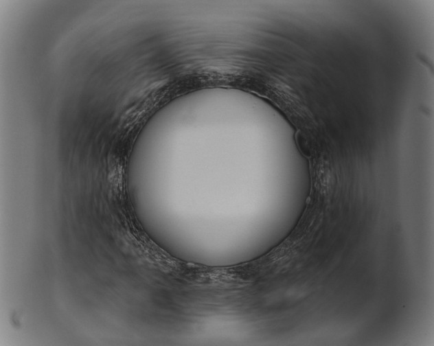 X0000101201061200807111004