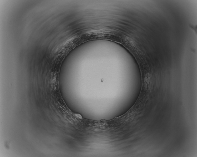 X0000101201062200807111004