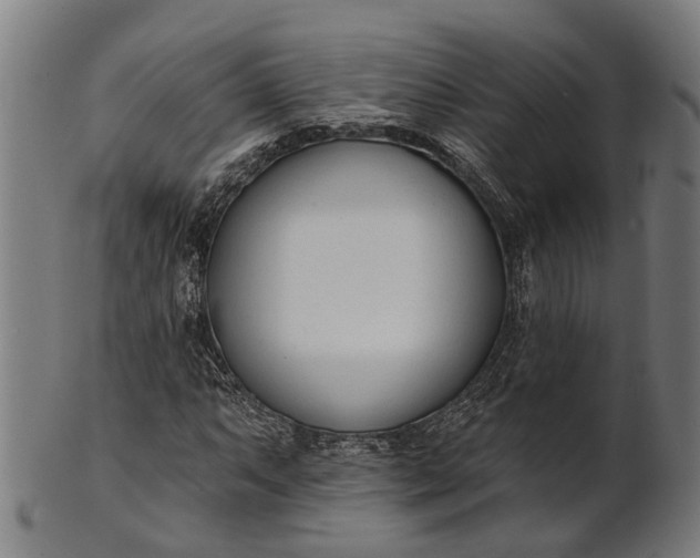 X0000101201063200807111004