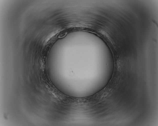 X0000101201064200807111004