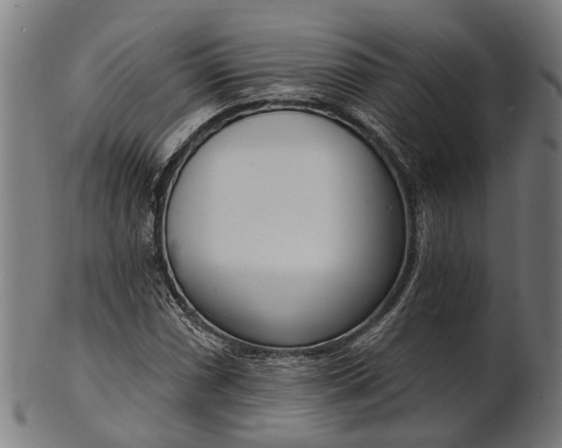 X0000101201066200807111004