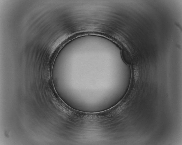 X0000101201069200807111004