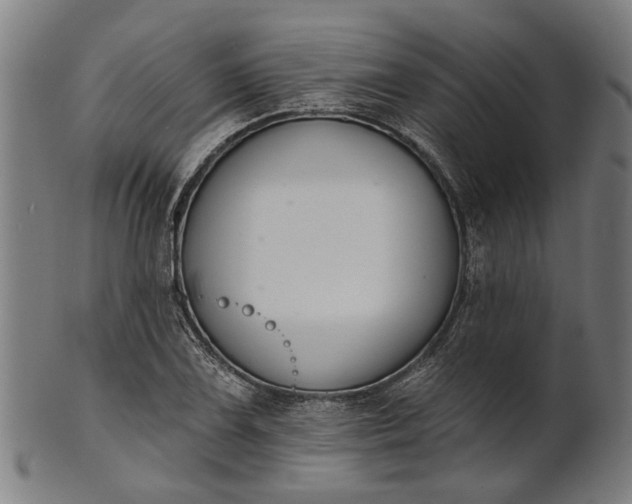 X0000101201075200807111004