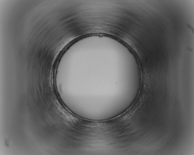 X0000101201076200807111004
