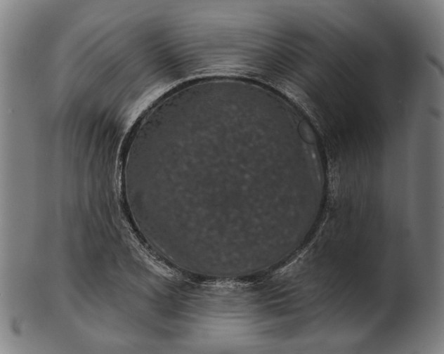 X0000101201077200807111004