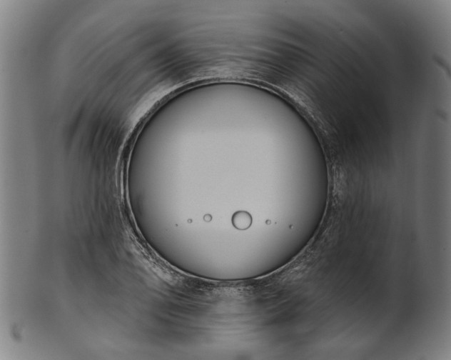 X0000101201078200807111004