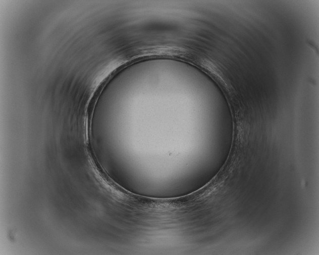 X0000101201079200807111004