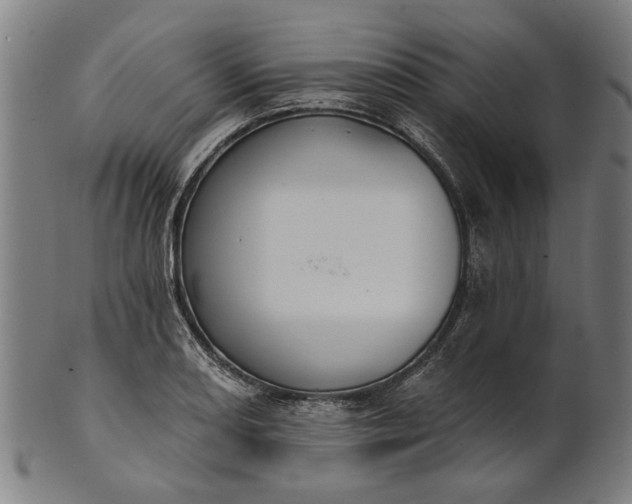 X0000101201082200807111004
