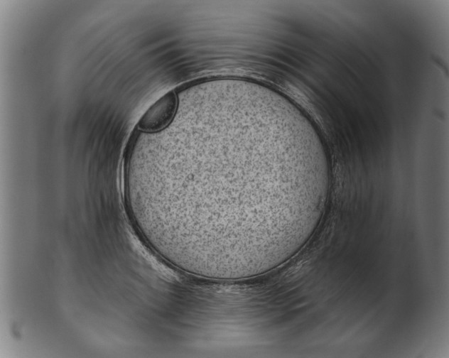 X0000101201084200807111003