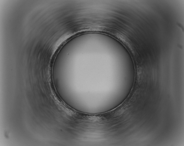 X0000101201085200807111003