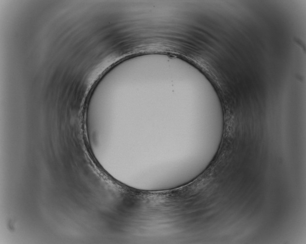 X0000101201086200807111003