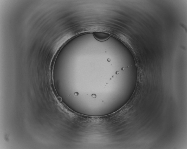 X0000101201087200807111003