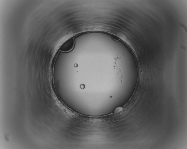 X0000101201088200807111003