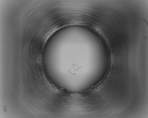 X0000101201089200807111003