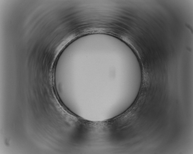 X0000101201090200807111003