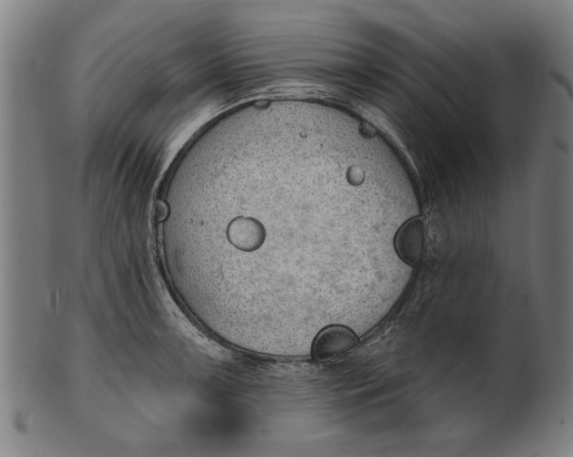 X0000101201091200807111003